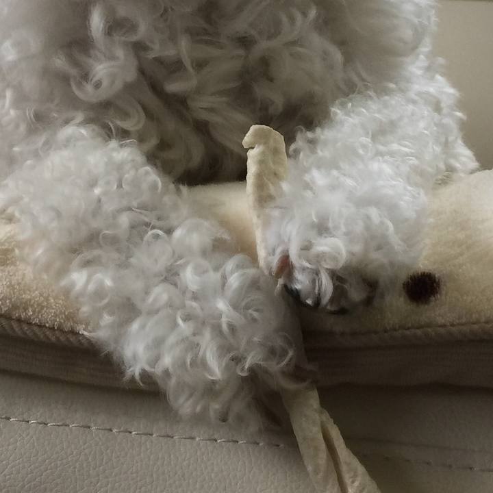 1953a058 f6b7 4148 8d76 87b076a231e4