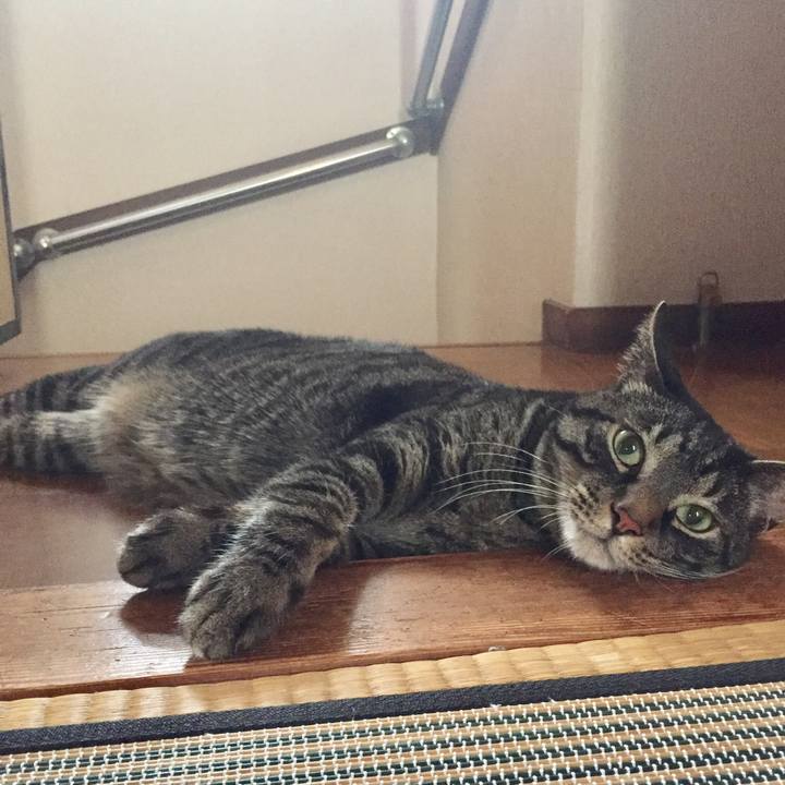 1953a55f e74c 4cc8 bca7 bc3889d2a0b4