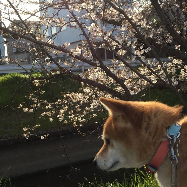 1953cdee 6306 431f aa90 e3ee4b0bf321