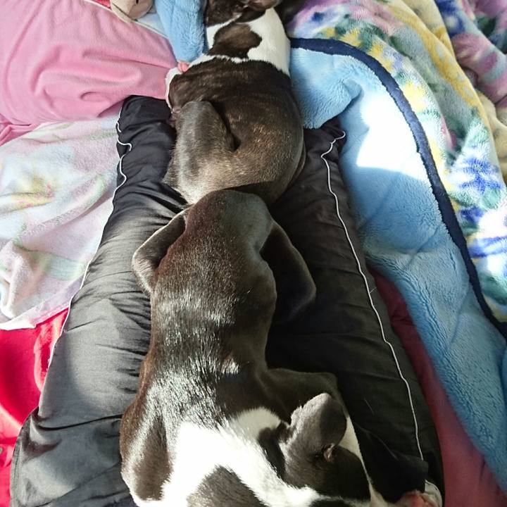 19544541 c761 44f1 8f4d bf4fa096251e