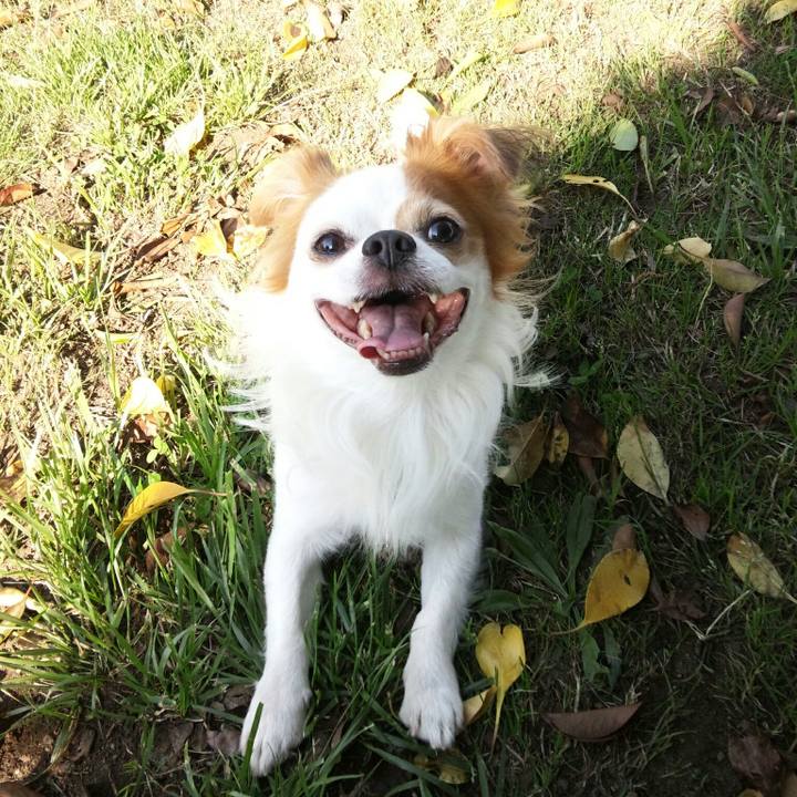 195453ef 191f 48fa 9154 56f49191fd92