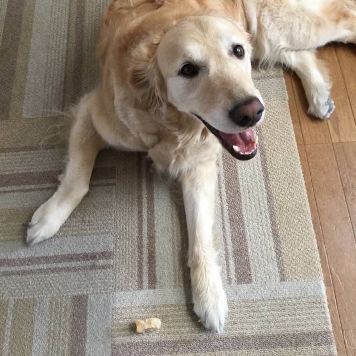 195497d3 4881 4085 a84c 160244d7cef9