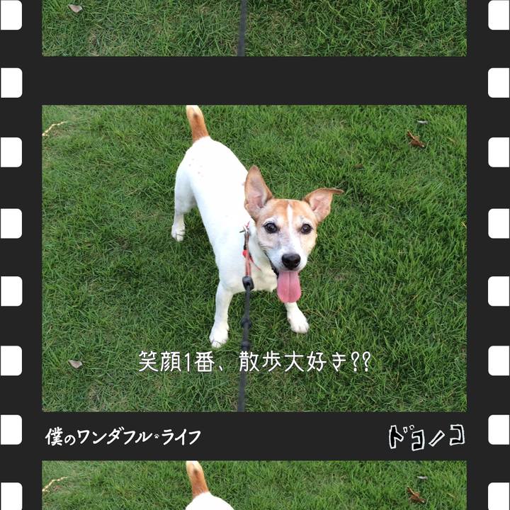 1954b670 3515 451c 98e5 fd3b1f84f934