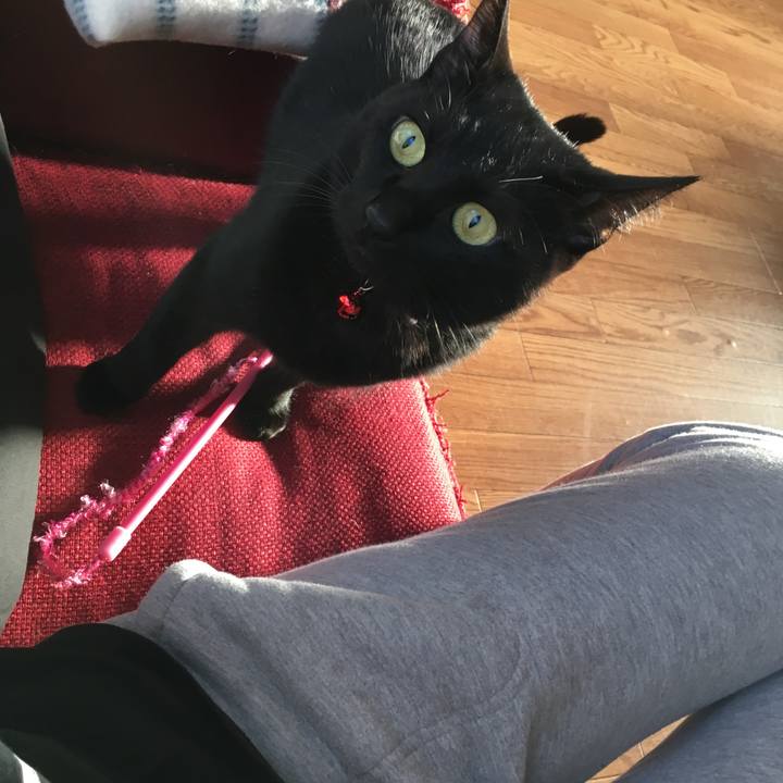 19561419 7b49 4825 a73c ff8a2e3d1fb7