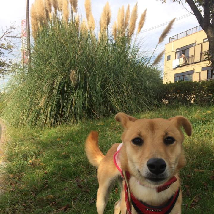 19562978 6315 4130 9f39 b2ebe290dbec