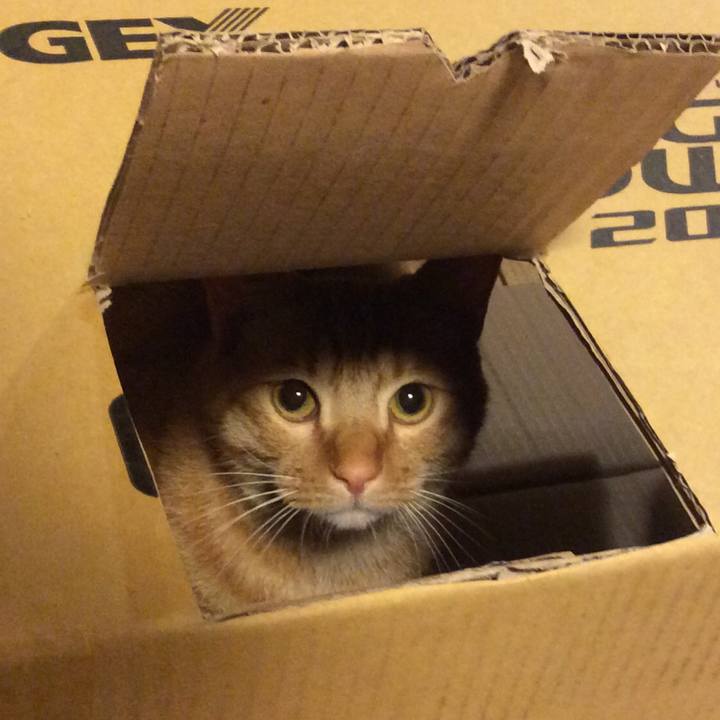 19563b7a eb36 42fa b946 4f3a8522106f