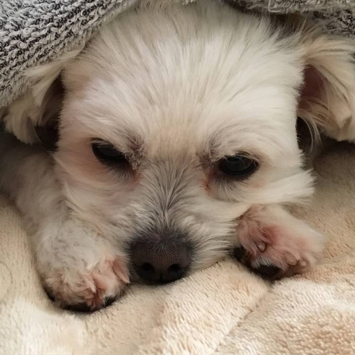 19563dc1 d9e0 451b a2f0 1beb0669ee5d