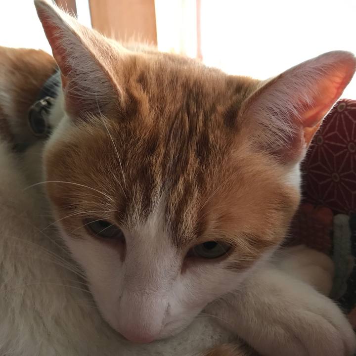 1956628c 9844 46c4 be50 91571a0ee4e8