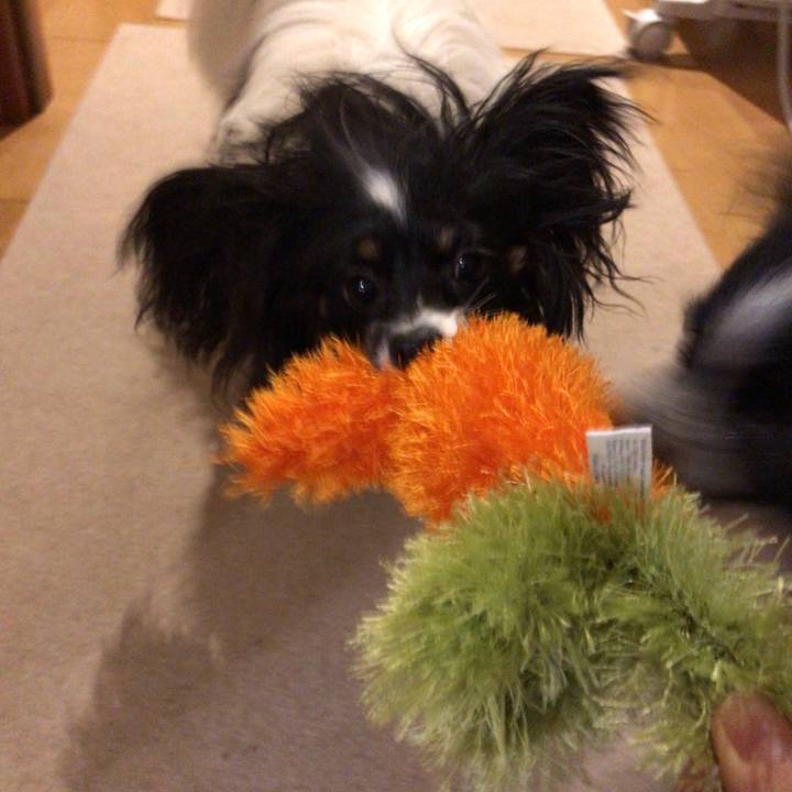 1956f578 3e68 4fed 97f3 4e508e4f32be