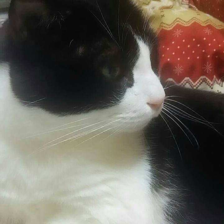 19574256 44b3 4895 90d6 440bd9f99504