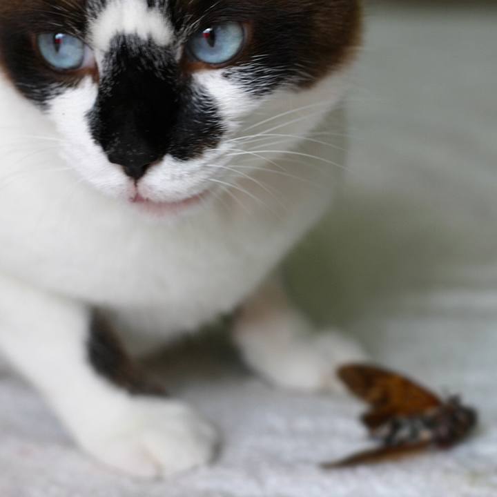 1957880a ee00 4bd1 9f59 a8074c16d48b