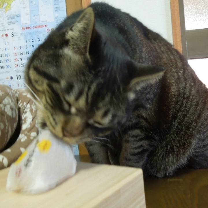 1957b9ce 185e 4f84 8895 6923e45a76fb