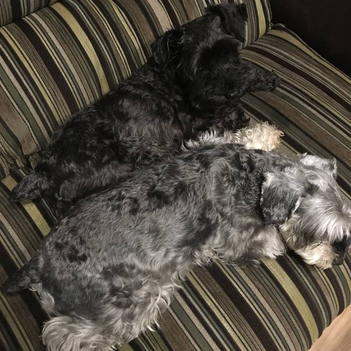 1958edcd a0d0 49d3 9092 ee5fe91d3b6b