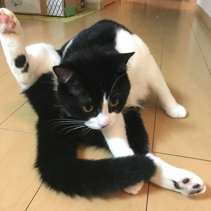 1959402d b992 4268 b29f 6b44529adfb5