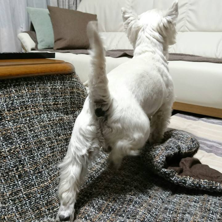 1959c3ce 80fe 46c4 ab0d fd5aea0f17b0