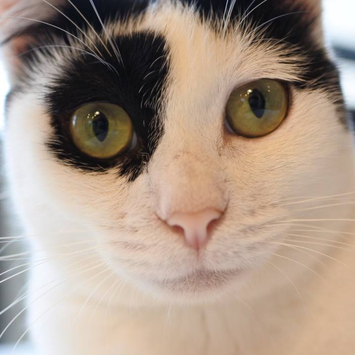 195a1c0a 3e30 42f3 90b7 6d202d894c89