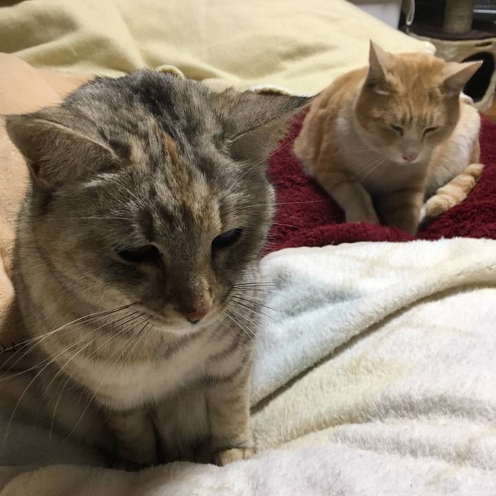 195a797c 2bd9 475a a455 5b63a6a3e397