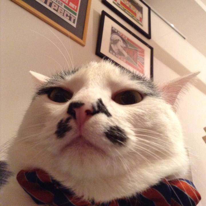 195a7e76 27d0 4bb7 8a04 79fdecc108e5