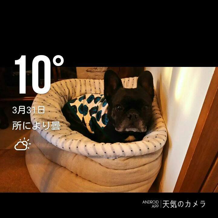 195aa870 3bd5 4a97 a3a3 a9bc16dbae5c
