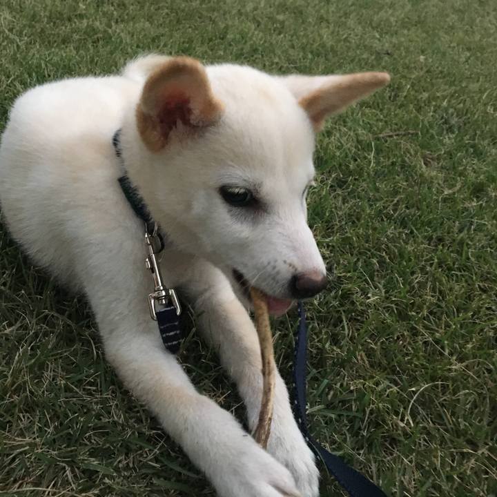 195aaa9c af44 412c 99cb 2356405a2c54