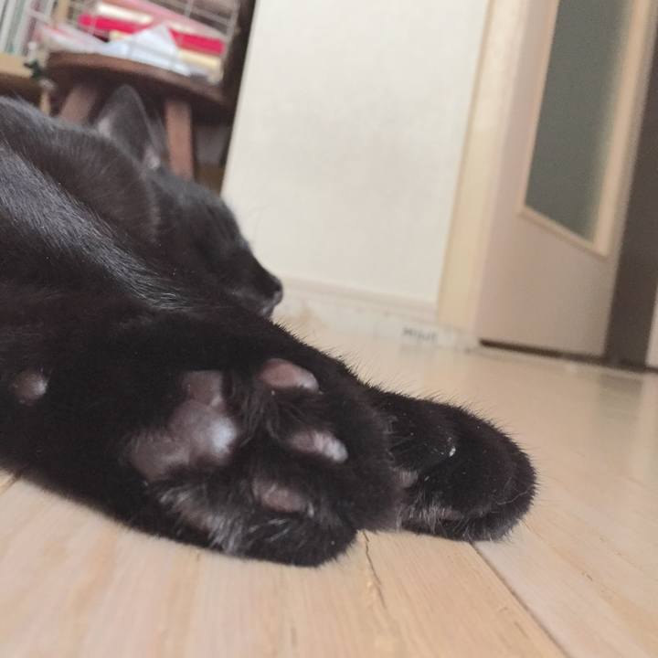 195b74a9 cbc5 4bbb aa87 396cca3f3494