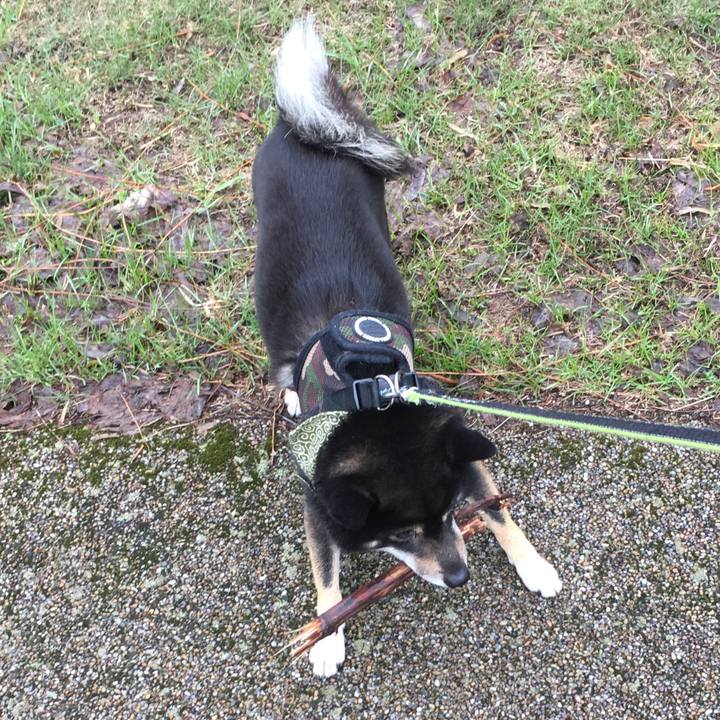 195b93f2 f0db 44ee a1af ff0da62b96a8