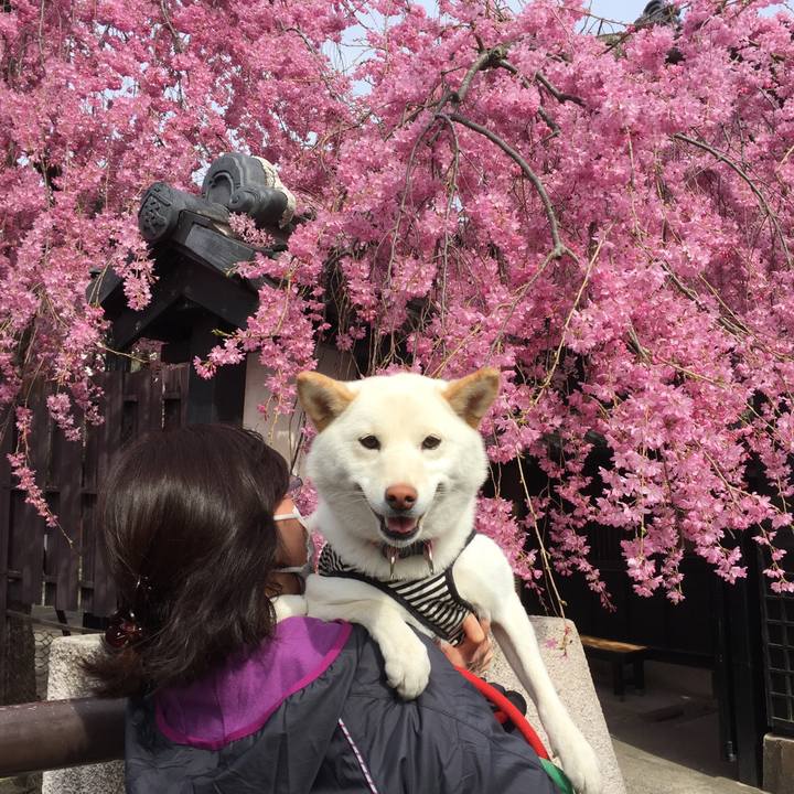 195c1610 54f7 4cdf bc19 b27a90d91393