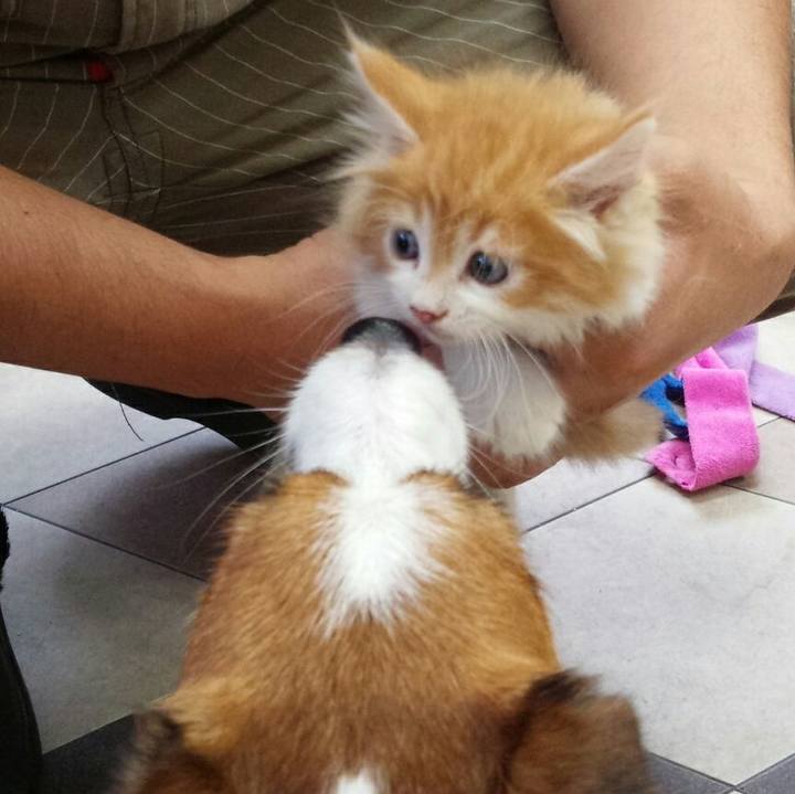 195c2996 d12a 4e79 878a d1b85c0ac16a