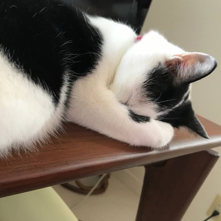 195c3885 8e78 4011 b2f1 313552cf8c36