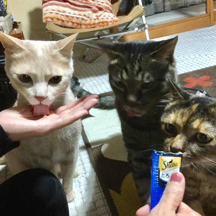 195c87ae c25d 43e2 83d6 0fbf43b4b3bf