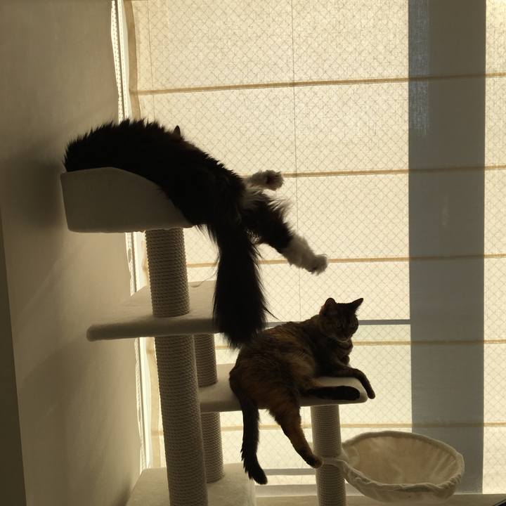 195ce2fb ea16 453e 9a03 e70cf7c5587b