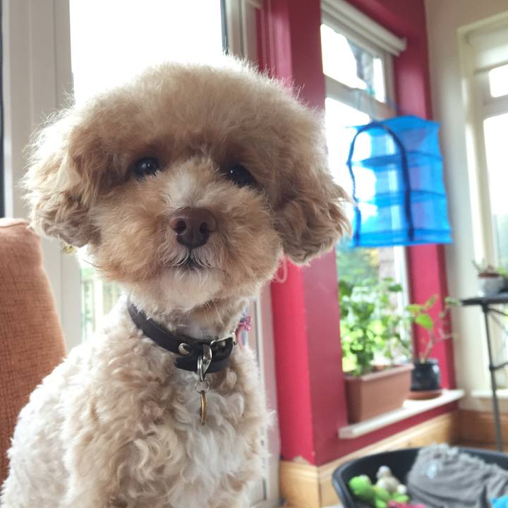 195dcb8f 8bc8 4649 92cd 3b128a3d576f