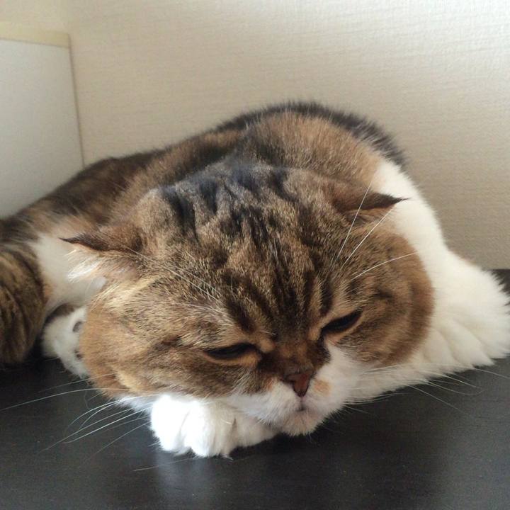 195feb43 59e3 4778 8220 95e0861179a9