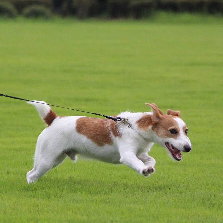 19600913 f67b 4213 a091 d583ec7a3173