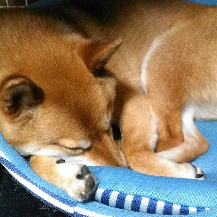 19600ab8 6d86 467d 9065 549f50d71da0