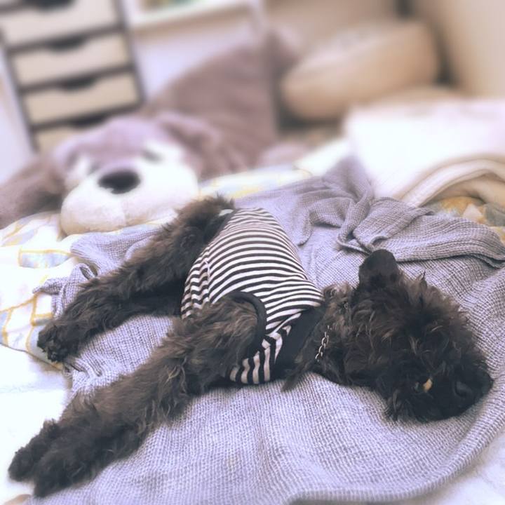 1961b21b 0c5d 489a a21d 7d086d12069b