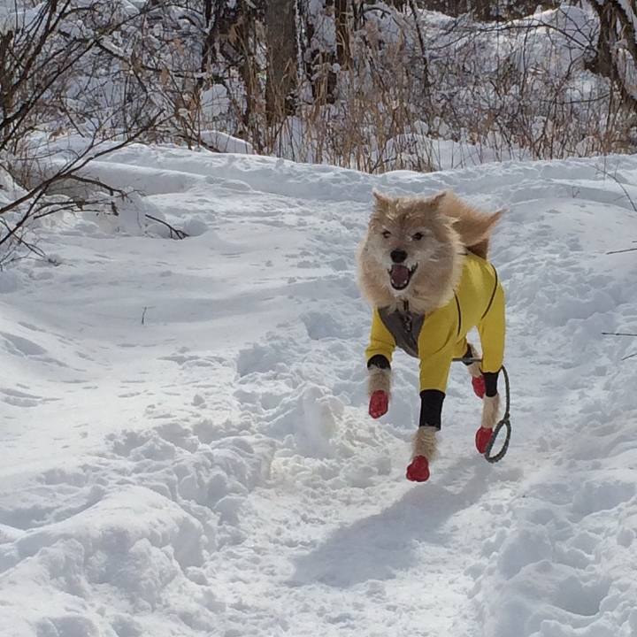 1961ec63 0ca1 4475 b8e9 b06e8db4c102