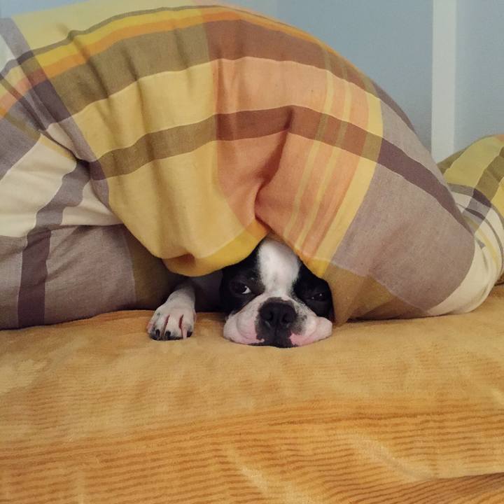 19620799 1483 4035 83f0 1a0f1932f6f8