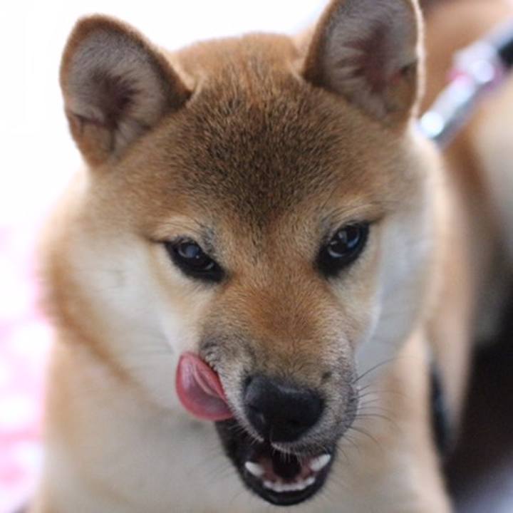 19626476 e605 44db 939e d98377941477