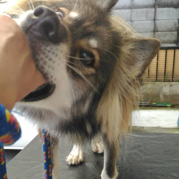 19635195 e84b 4912 bd40 19db678d1184