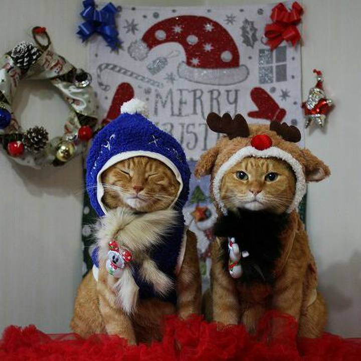 1963e128 0bc8 4fc0 a8f5 2962523b82e1