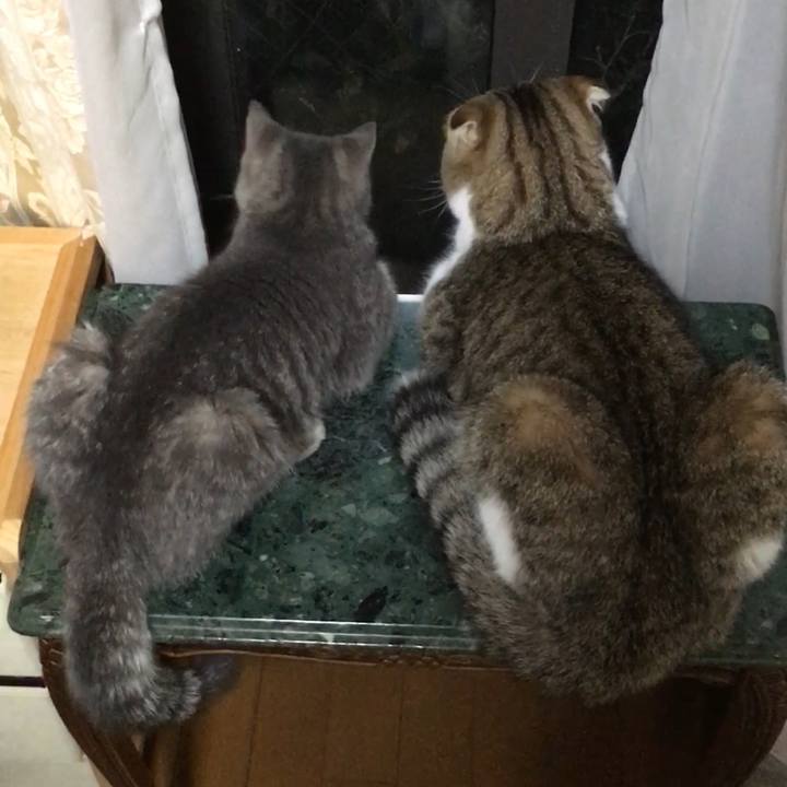 1964ba88 e1d8 4c80 84d9 148367612386