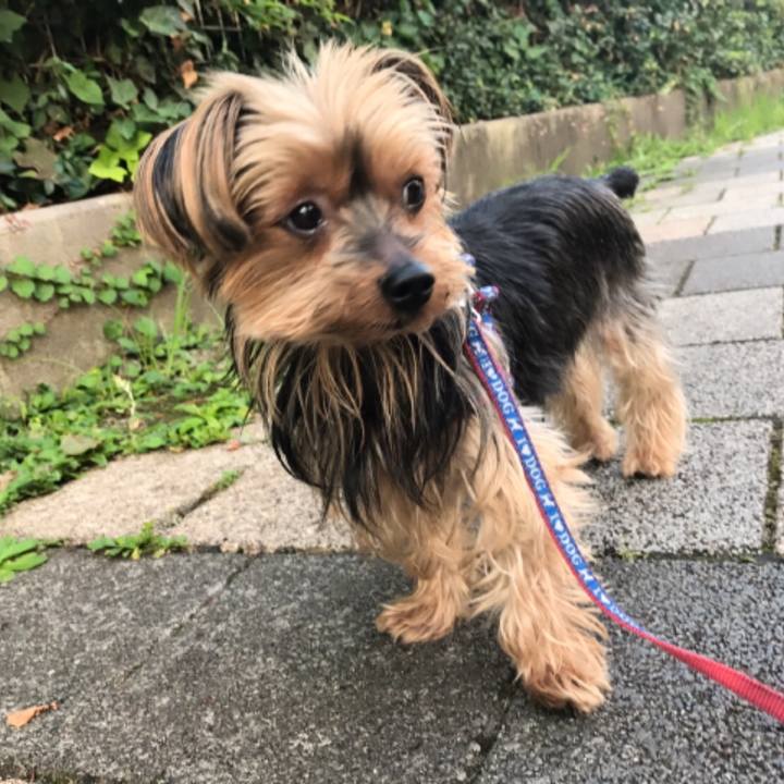 19665005 45c7 441f 9d10 f4dee0944841