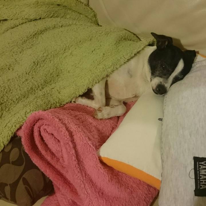 19667c93 1176 45b2 b9e8 e8859612c7b0