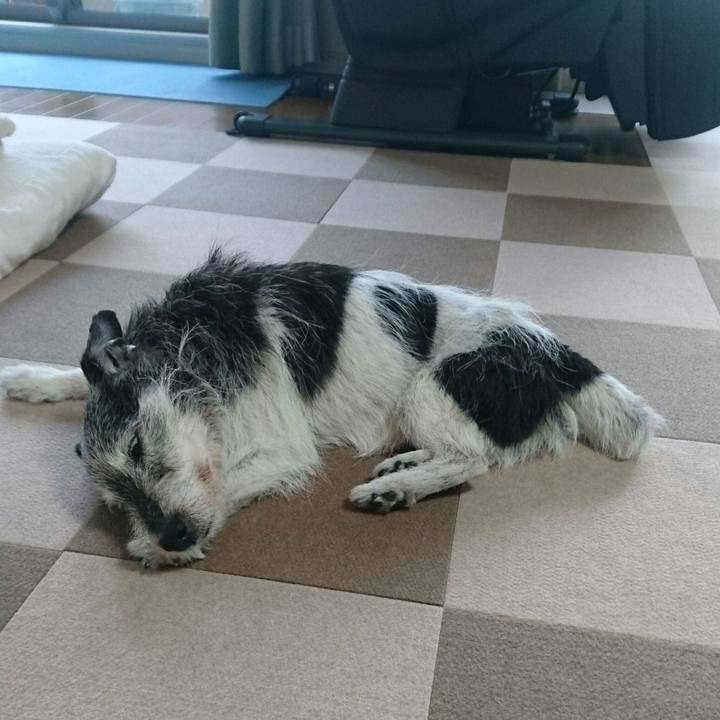 1966911d 48da 4c15 89ce 85510332b239