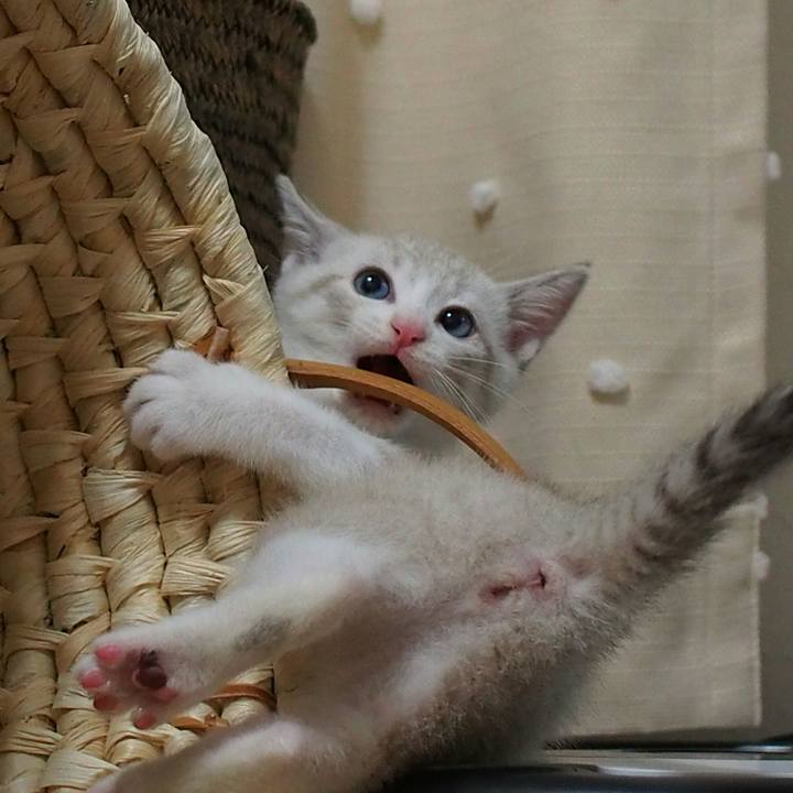 1966f557 fe83 4487 a48c 332fcd982fc0