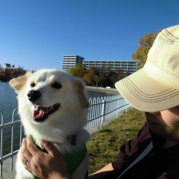 19672aa8 28d7 4e5e 9bd3 0203ff0e2677