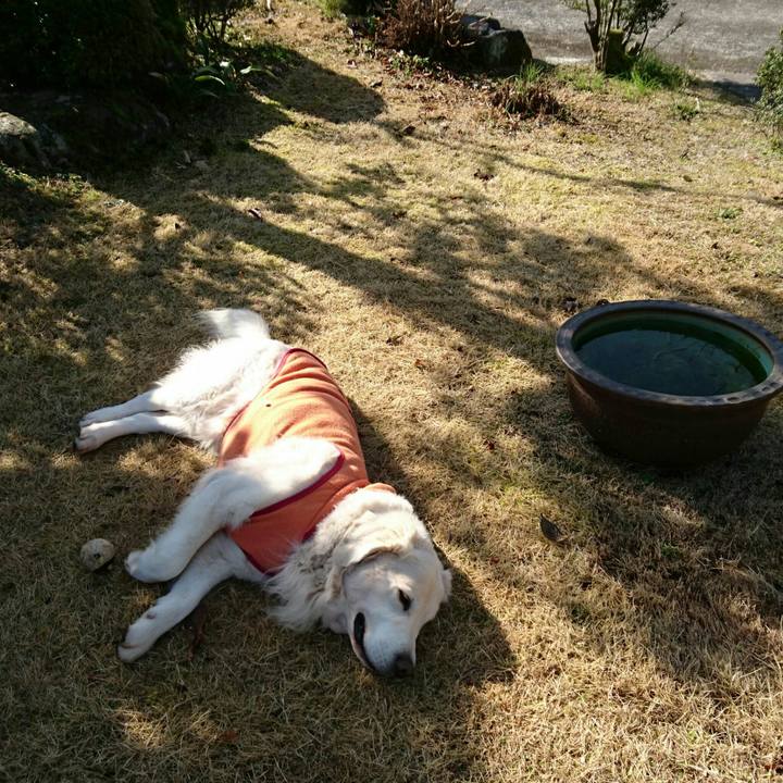 1967ac43 d583 45f2 851a d79d1c0ab5ec