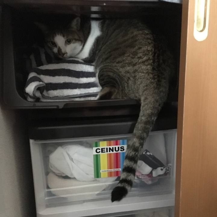 1967f6fc f772 46a2 9bc7 bfb130d82cfe