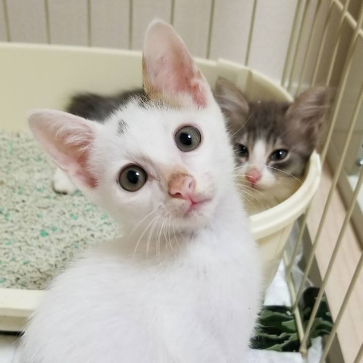 1967f8f9 6ee4 49e3 a708 f3d7ee47602b